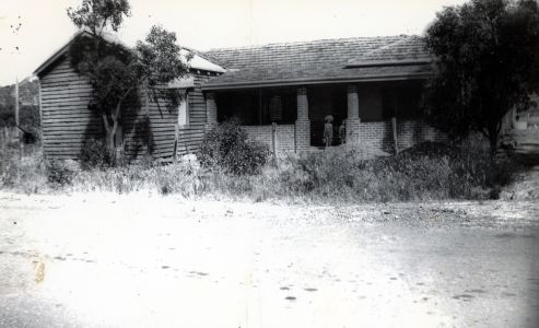 D006